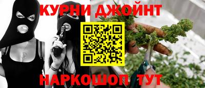 прущие грибы Новодвинск