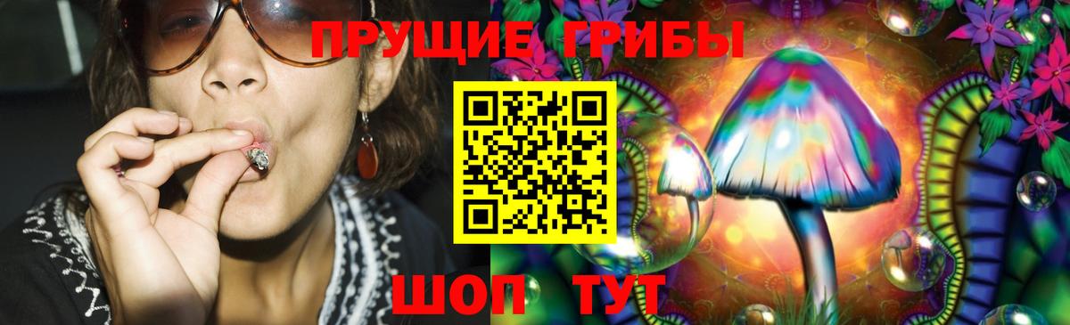 Псилоцибиновые грибы Psilocybe Сухой Лог
